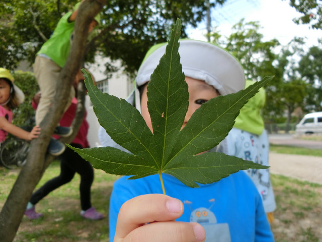 写真：体験学習