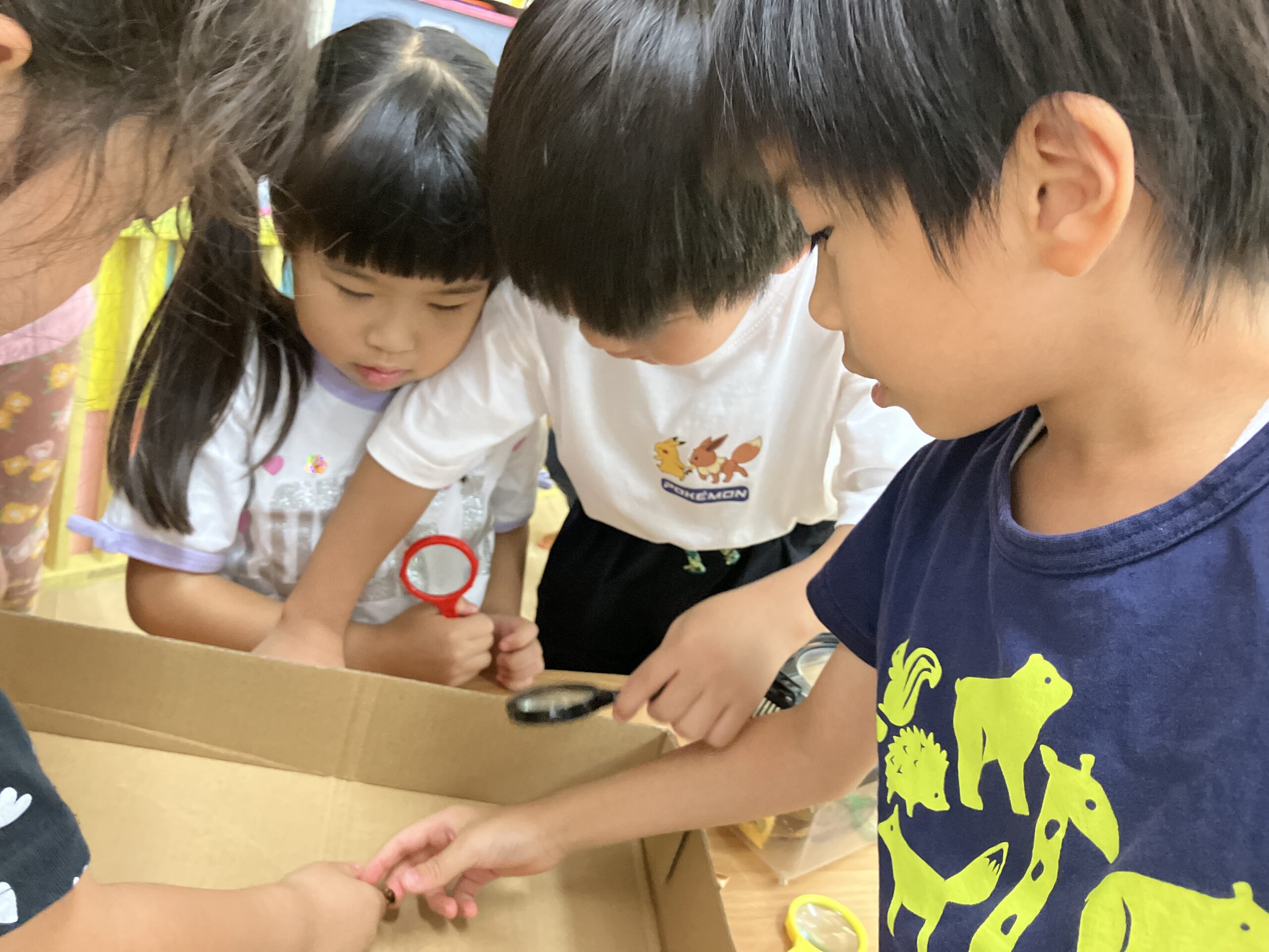 写真:イメージ01