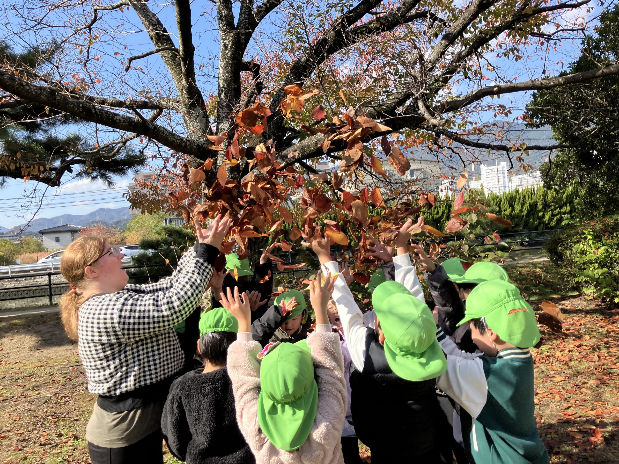 写真:イメージ01