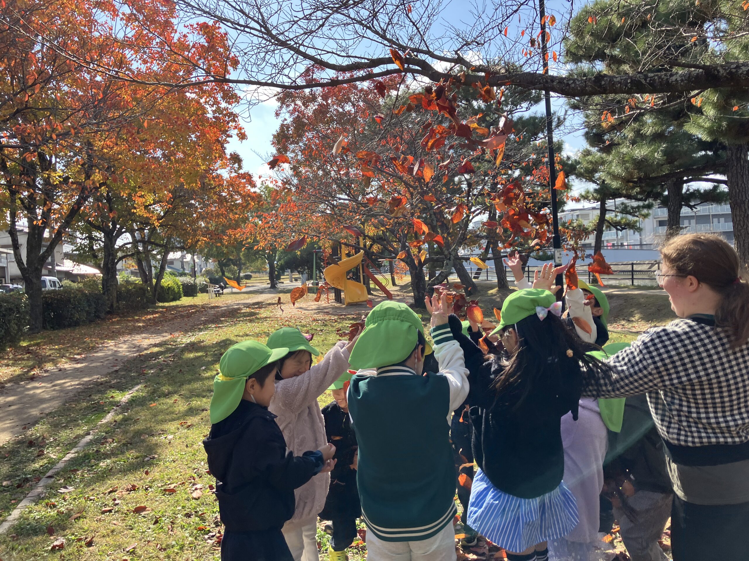 写真:イメージ01