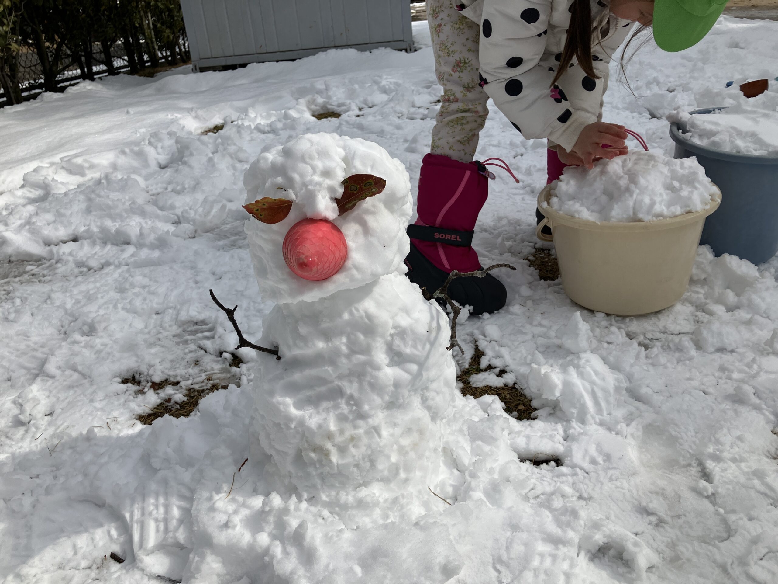 写真：イメージ01