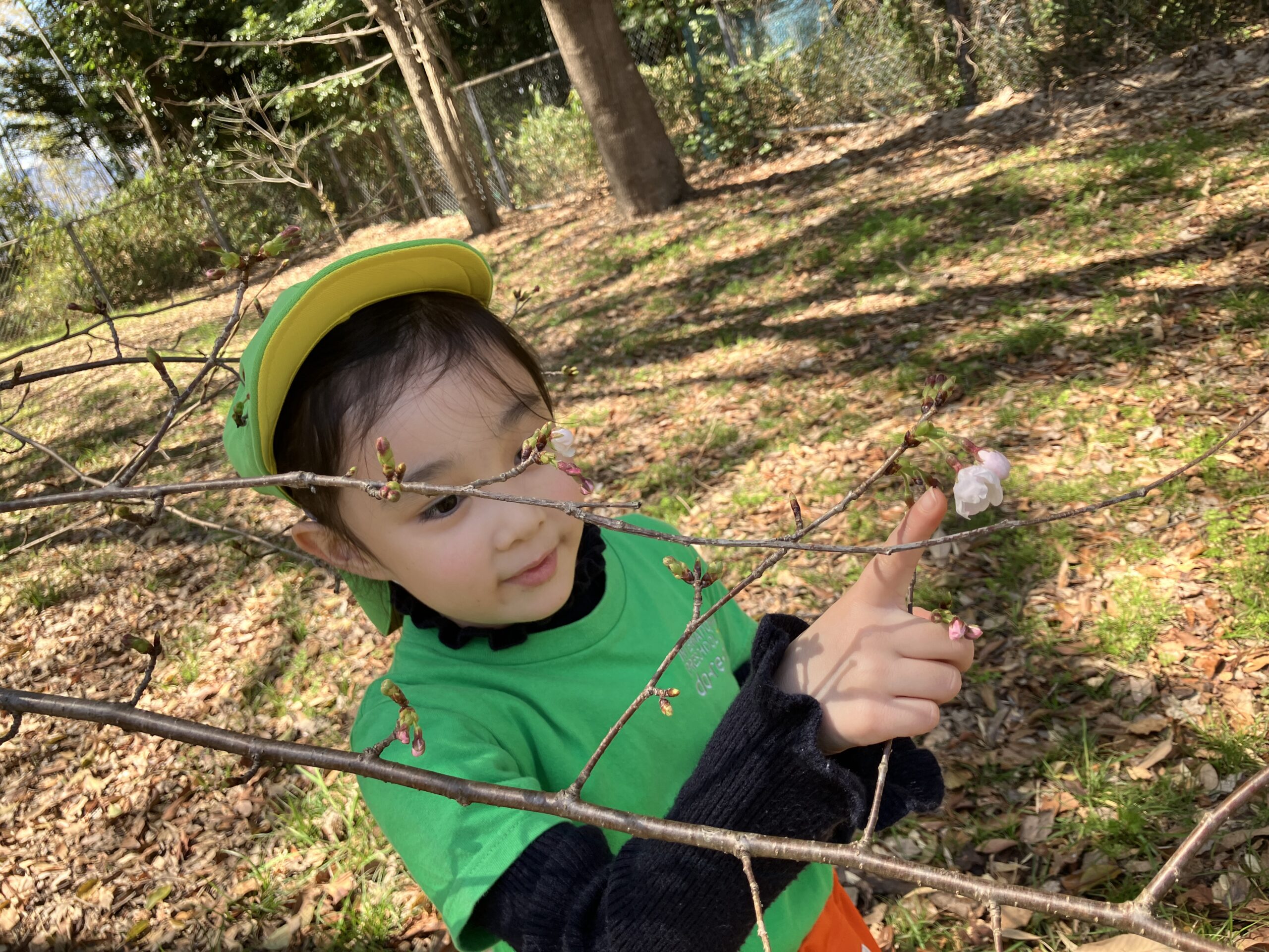 写真:イメージ01