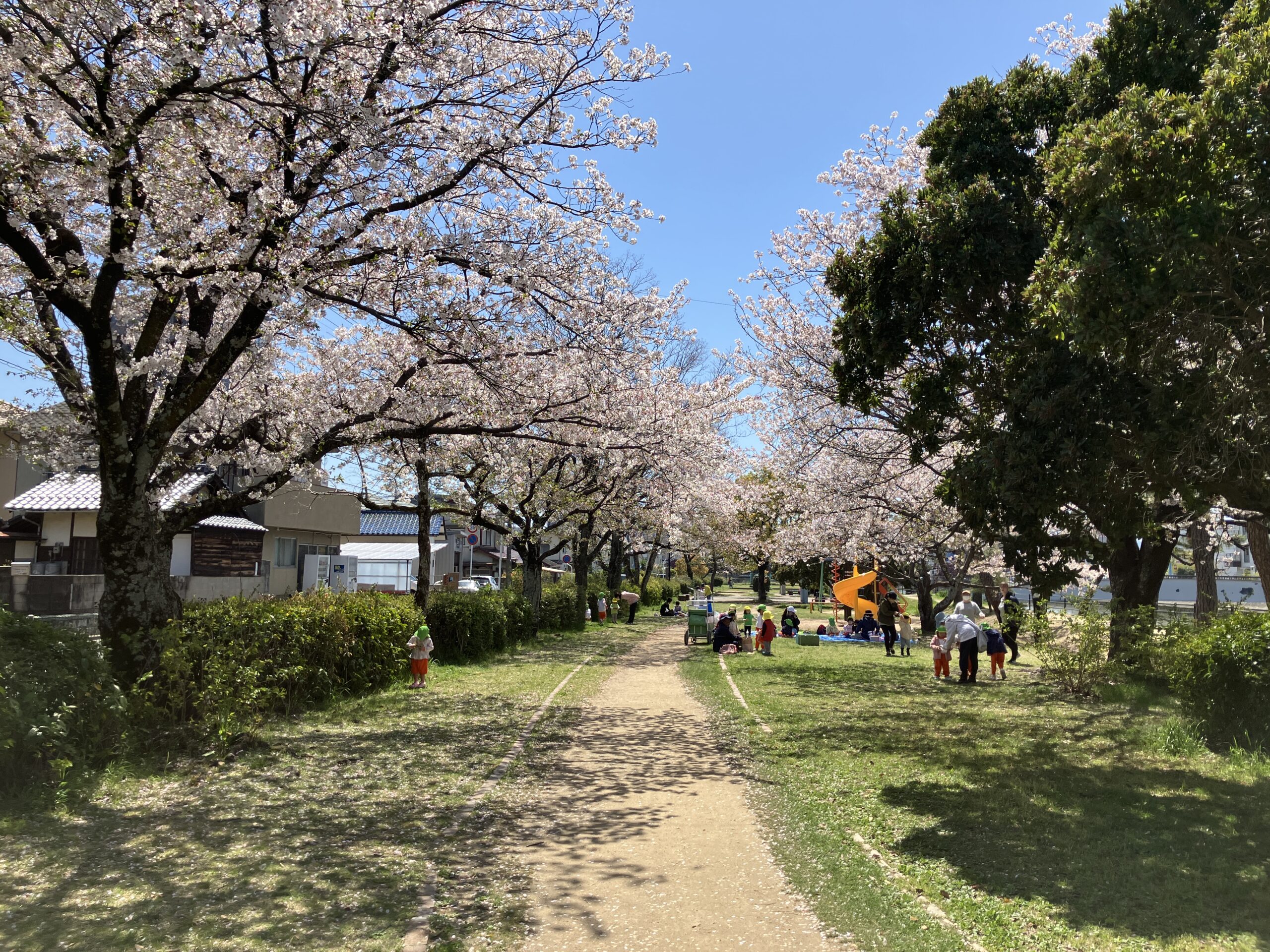 写真:イメージ01