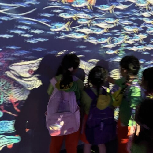 写真：体験学習01