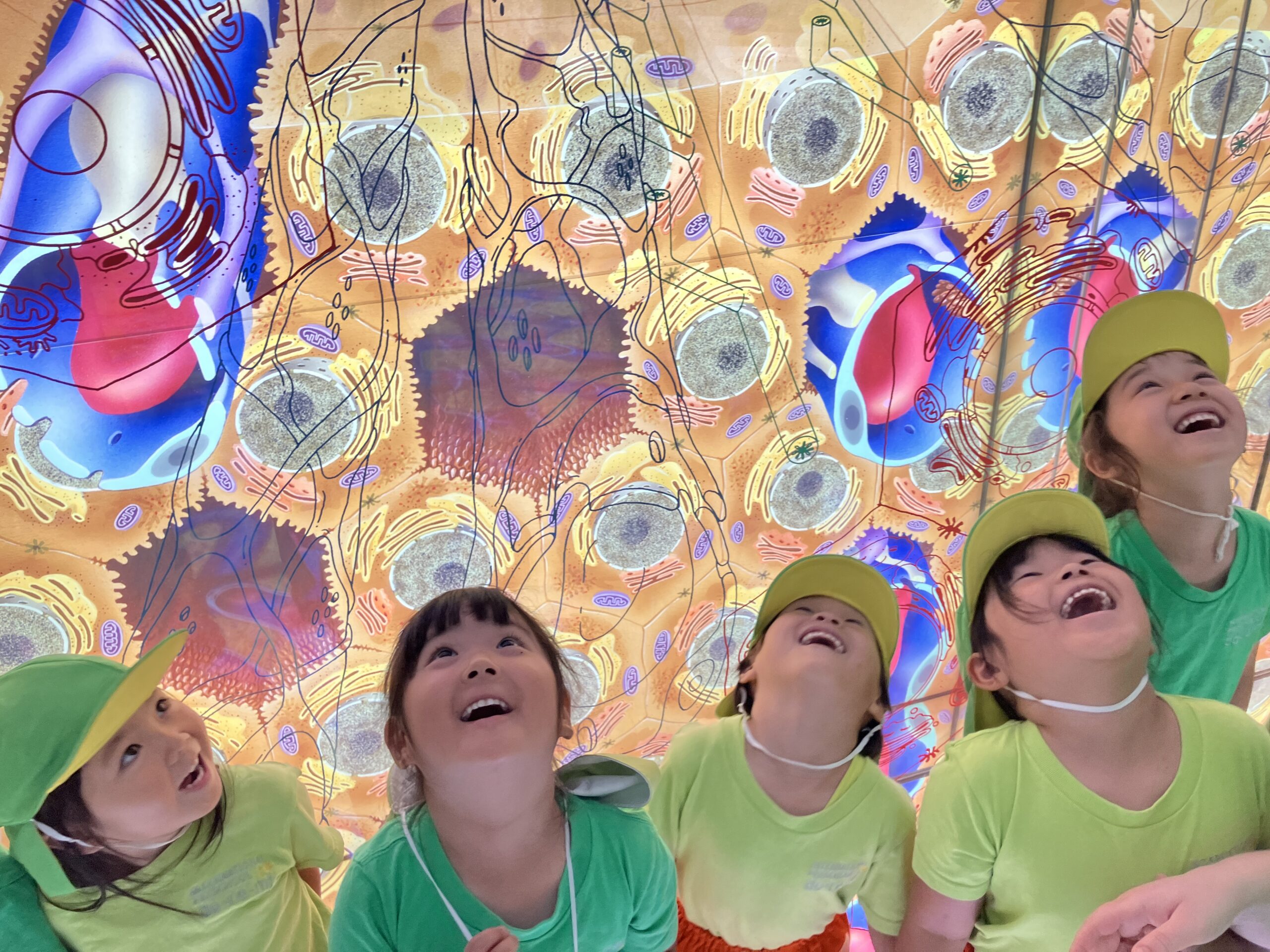 写真:イメージ01