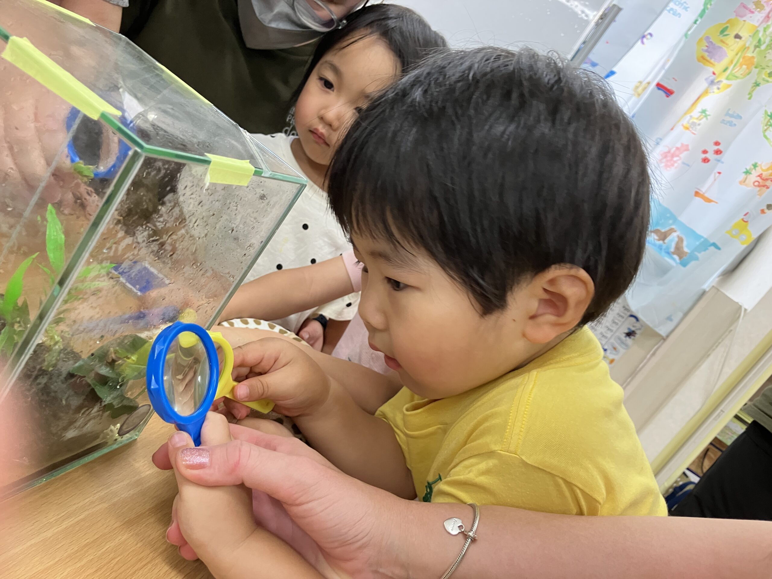 写真：イメージ01