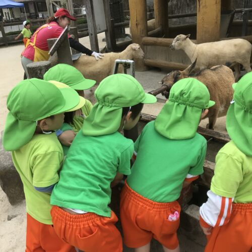 写真:体験学習03
